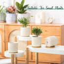 TAMAYKIM 4 Inch Ceramic Plant Pots with Drainage Holes, Modern Flower Planter with Saucer for Indoor Plants, Succulent, Cactus & Herbs, Beige, Set of 4 (Plants Not Included) by CozyNest Decor