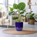Ceramic Planter - 12 Inch Pots for Plants Ceramic Plant Pot Indoor with Drainage Hole and Saucer Large Planter Flower Pot Outdoor for Home Garden Decor Blue by GreenHaven Gardens