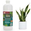 Premium Liquid Snake Plant Fertilizer - 3-1-2 Concentrate for Indoor Plants and Flowers by Gardenera | Organic Plant Food for Snake Plants - 32oz by GreenHaven Gardens