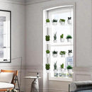 4-Tier Hanging Clear Plant Shelves for Windows, Acrylic Window Wall Plant Stand Shelf for Kitchen Indoor Gardens, Flower, Succulents, Herb, Seedling Organization, and Pots Display, 16 Inch per Tier by GreenHaven Gardens