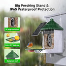 Bird Feeder with Camera AI Identify 2K Live Video Smart Bird Feeder with Camera, 2.4GHZ WiFi Solar Birds House Cameras, Motion Detection Instant Arrival Alerts, Ideal Present for Birds Lovers by CozyNest Decor