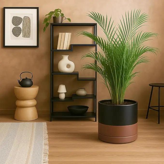 D'vine Dev 12 Inch Ceramic Planter Pot with Drainage Hole and Saucer, Indoor Cylinder Round Planter Pot, Black/Speckled Tan, 94-O-F-7, photo 6 of 7