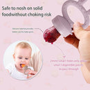 Baby Solids/Frozen Fruit Feeder Pacifier, Infant Teether Toy 4M+, BPA-Free Silicone Pouch & Nipple, Safely Introduce Solids, Teething Relief, 2-Pack (Rabbit - Pink Purple, S/M/L) by TinyTreasures Baby Boutique
