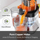 AMZCHEF Cold Press Juicer, Juicers Machines - 5.4" Large Feed Chute for Whole Fruits & Vegetables, Stainless Steel Slow Masticating Juice Easy to Clean, Large Auger, Triple Strainers, Silver by CozyNest Decor