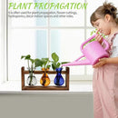 Plant Propagation Station Plant Terrarium Unique Birthday Gifts for Women Plant Lovers Home Office Decor Planter with Wooden Stand - 3 Bulb Glass Vase by GreenHaven Gardens