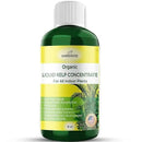 Organic Premium Kelp Seaweed Fertilizer - Liquid Hydroponics Fertilizer - Liquid Plant Food - Nutrient-Rich Soil Enhancer - Natural Plant Food for All Indoor Plants (16 oz) by GreenHaven Gardens