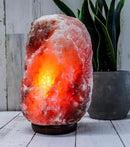 Himalayan Secrets LARGE Salt Lamp - Natural Pink Crystal with Wooden Base - Dimmer Cord and Bulb included (18-22 LBS) by CozyNest Decor