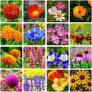 10000+ Perennial Mix Wildflower Seeds 16 Assorted Varieties of Heirloom Flower -1oz Zinnia Poppy Crimson Clover Milkweed Lupine Marigold Mexican Hat Sage Nasturtium by GreenHaven Gardens