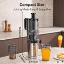 Juicer Machines, Cold Press Juicer with 5.0” Large Feed Chute Fit Whole Fruits & Vegetables, Stainless Steel Masticating Juicer With Pulp Seperation, 99% Juice Purity, 200W Quiet Motor, Easy to Clean by CozyNest Decor