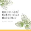 Burt's Bees Toothpaste, Natural Flavor, Fluoride-Free, Purely White, Zen Peppermint, 4.7 oz, Pack of 3 by CozyNest Decor