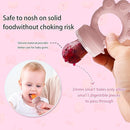 Baby Fruit Food Feeder - Silicone Nibble Tray Combo - Breastmilk Popsicle Mold for Cooling Relief, BPA Free Mesh Feeder for Infant Self Feeding (Claw Pink + Pineapple) by TinyTreasures Baby Boutique