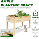 BSP Raised Garden Bed with Legs Outdoor Elevated Planter Box Flower Bed Wood Planter for Vegetable Herb Upgraded Solid Structure Growing Box Suitable for Backyard Patio and Balcony, 48”L X 24”W by CozyNest Decor