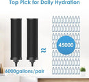 AQUA CREST Gravity Water Filter System, NSF/ANSI 42&372 Certified Black Carbon Filters, Reduce Lead and Up to 99% Chlorine, 2.25G, for Home, Camping, RVing, Off-Grid, Emergencies, AQ-TN-A by CozyNest Decor