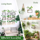 Ivolador Plant Propagation Station Terrariumin Wall Test Tube Vases Bud Tabletop Glass Wooden Stand with 5 Propagation Tubes for Propagating Hydroponic Plants Home Garden Wedding Decoration-Brown by GreenHaven Gardens