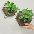Hexagonal Wooden Wall Planter, Self Watering Living Vertical Planter Indoor, Wooden Frame Planter Wall Decoration Home Office,2pc Walnut by CozyNest Decor