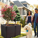 Raised Garden Bed Planter for Outdoor Plants Planter Box Elevated Garden Boxes Deepened Plant pots Perfect for Garden Patio Balcony Deck to Planting Flowers Vegetables Tomato and Herbs by GreenHaven Gardens