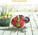 MUMTOP Solar Lantern, Waterproof LED Solar Lights Outdoor Ladybug Decorative Tabletop Lanterns for Patio Garden Table Decor by GreenHaven Gardens