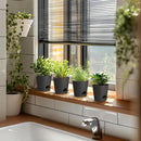 4 inch Self Watering Pots for Indoor Outdoor Plants, 6 Pack Plastic Flower Planters with Drainage Holes and Removable Saucers, Plant Pots with Wicking Rope, Modern Decor, Black by GreenHaven Gardens