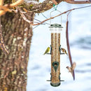 MIXXIDEA 2PK Metal Wild Bird Feeder Bird Feeders for Outdoors Hanging 6 Port Tube Bird Feeder Transparent Finch Feeder with Steel Hanger Green by CozyNest Decor