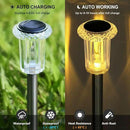 DenicMic Solar Lights Outdoor 15 Pack Waterproof 3000K Warm White LED Acrylic lamp Head Stainless Steel Stake for Landscape Lighting Path Walkway Sidewalk Backyard Patio Decor by CozyNest Decor