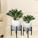 10 & 12 Inches Planters with Metal Sand for Indoor Plants Set of 2,Decorative Plant Pots with Holder, Outdoor Flower Pots with Legs, Modern Garden Pot with Drainage Holes for Snake Plant, House plants by CozyNest Decor