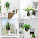 Hanging Planters for Indoor Outdoor Plants, 2 Pack Self Watering Hanging Pot with Drainage Holes & Removable Tray (Black, 6'') by GreenHaven Gardens