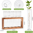 2pcs Desktop Glass Plant Propagation Station with 10 Test Tubes in Wooden Stand - Hydroponic Plants Cutting Office Home Decoration and Garden Decor Terrarium (10 Tubes) by GreenHaven Gardens