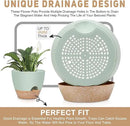 12" 10" 9" Large Self Watering Plant Pots, 3 Pack Flower Pots Planters with Multi Mesh Drainage Holes for Indoor Outdoor Garden Plants and Flowers. by GreenHaven Gardens