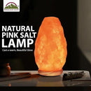 Himalayan Glow Salt Lamp with Dimmer Switch 5-7 lbs by CozyNest Decor
