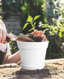 Homenote Pots for Plants, 15 Pack 6 Inch Plastic Planters with Multiple Drainage Holes and Trays,Plant Pots for All Home Garden Flowers Succulents (White) by GreenHaven Gardens