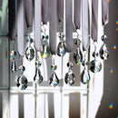 12pcs Glass Crystal Chandelier Prisms, Rainbow Hanging Crystals Suncatcher for Windows, Home Decoration by GreenHaven Gardens