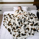 Cow Print Faux Fur Throw Blanket for Couch, Soft & Plush Fuzzy Blanket for Sofa, Bedroom, Living Room, Super Soft Warm for Adults Kids Girl Gifts Bedroom Couch Sofa Travel,60x80 Inches Black Brown by CozyNest Decor