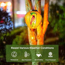 Large Hot Air Balloon Cardinal Solar Lantern Lights with Flame, Green Glass Balloon Lantern Waterproof Outdoor Decor for Garden Yard Patio, Birthday Mother's Day Gifts for Moms Women by GreenHaven Gardens