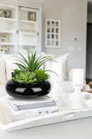 Large Artificial Succulents Plants Faux Succulents in Pots Fake Succulent Arrangement Potted Plants with Black Ceramic Pot for Office Desk Bathroom Shelf Living Room Indoor & Outdoor Home Decor by GreenHaven Gardens