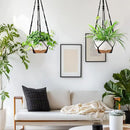 Hanging Planter Self Watering 10 Inch, 2 Pack Indoor Outdoor Hanging Baskets, Hanging Flower Pots with Drainage Hole & 2 Kinds of Plant Hangers for Garden Home Decor(Black Hanger by GreenHaven Gardens