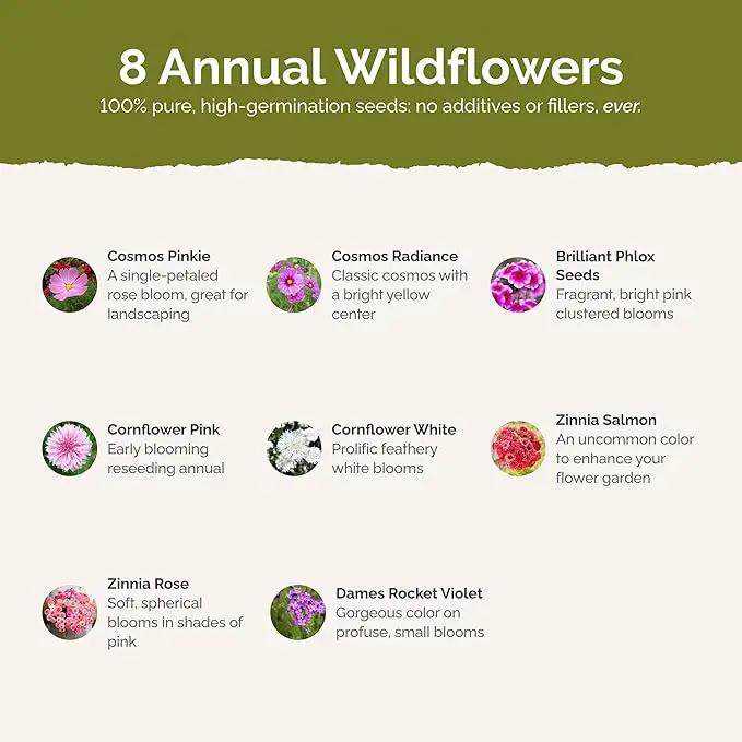 Eden Brothers Tickled Pink Flower Mixed Seeds for Planting, 5 lb, 2,400,000+ Seeds with Cosmos, Cornflower, Zinnia | Attracts Pollinators, Plant in Spring or Fall, Zones 3, 4, 5, 6, 7, 8, 9, 10, photo 3 of 6