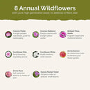 Eden Brothers Tickled Pink Flower Mixed Seeds for Planting, 5 lb, 2,400,000+ Seeds with Cosmos, Cornflower, Zinnia | Attracts Pollinators, Plant in Spring or Fall, Zones 3, 4, 5, 6, 7, 8, 9, 10 by GreenHaven Gardens