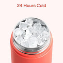 Insulated Water Bottle with Straw - Encool Stainless Steel Water Bottle, Leak-Proof, BPA-Free, Double Wall Vacuum Keeps Cold for 24 Hours for Sports, Travel, School (26 oz, Tawny Orange) by CozyNest Decor