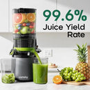 Canoly C16 Cold Press Juicer, 6" Extra Wide Feed Chute, 3-IN-1 Strainers (Juice & Sorbet & Nut Milk), Powerful AC Brushless Motor, Self Precut System, Juicer Machines with BPA-Free (Space Gray) by CozyNest Decor