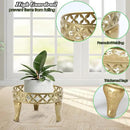 2 Pack Plant Stand, Anti-Rust Planter Stands for Indoor Plants, Metal Plant Stands Outdoor, Round Flower Pot Stands for Multiple Plants, Display Shelves Potted Plant Holders for Garden Patio by GreenHaven Gardens