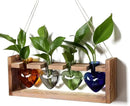 Plant Propagation Stations Heart Plant Terrarium Kit Gift for Women Plant Lover Glass Vases by GreenHaven Gardens