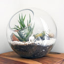 Mipcase 3 Pcs Plant Terrarium Plant Holder Terrarium Air Plant, 3 Round Glass Vase for Succulents, Clear Bubble Planter for Home Decor, Oblique Opening Glass Bowls Succulent Orbs Mini Tank