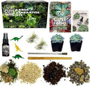 Cute Farms Terrarium Starter Kit | Moss, Vermiculite, Soil, Pebbles, Plant Food, Finishing Tools, Build and Care Guide | DIY Succulent Terrarium for Adults and Kids (Large + Live Plants) by CozyNest Decor
