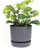 Elly Décor 10 inch Plastic Cylinder Planter Pot with Self-Watering Saucer and Drainage Hole,Lightweight & Extremely Durable, 10"x 10", Light Gray by CozyNest Decor