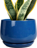 G EPGardening Round Ceramic Plant Pots - 7 Inch Modern Planter with Drainage and Plant Saucer for Indoor Outdoor Flower, Round Office Decor, New Gifts for Home, Blue by GreenHaven Gardens