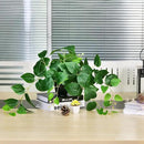 Tiita 1 Pack Fake Plants Artificial Scindapsus Aureus in Pots, Realistic Fake Greenery Potted Plants for Home Office Desk Window Sill Bathroom Bedroom Outdoor Indoor by CozyNest Decor