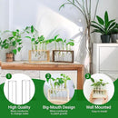 Ivolador Plant Propagation Station Terrariumin Wall Test Tube Vases Bud Tabletop Glass Wooden Stand with 5 Propagation Tubes for Propagating Hydroponic Plants Home Garden Wedding Decoration-Beige by GreenHaven Gardens