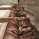 JUSTOYOU Large Artificial Succulents Aloe Plants Real Touch Fake Flowers Unpotted for Home Wedding Festival Arrangement (4, Green-Red) by CozyNest Decor