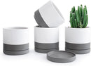 D'vine Dev Set of 4 Small Ceramic Plant Pots, 4.6 Inch Succulent Planter Pot for Plants with Drainage Hole and Saucer, White/Speckled Grey, 94-X-B-6 by GreenHaven Gardens