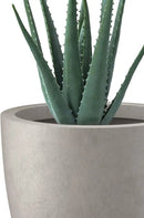 Kante 10 Inch Dia Round Concrete Planter, Indoor Outdoor Large Plant Pot with Drainage Hole and Rubber Plug for Home Patio Garden, Buff Concrete by GreenHaven Gardens